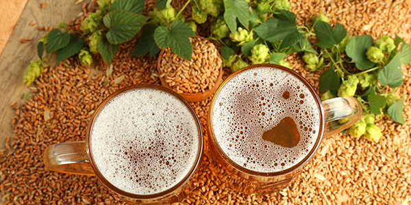 Cerveja mantém rins saudáveis OPA BIER