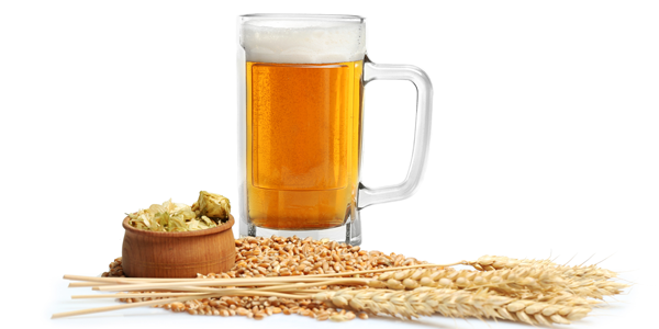 cerveja artesanal joinville
