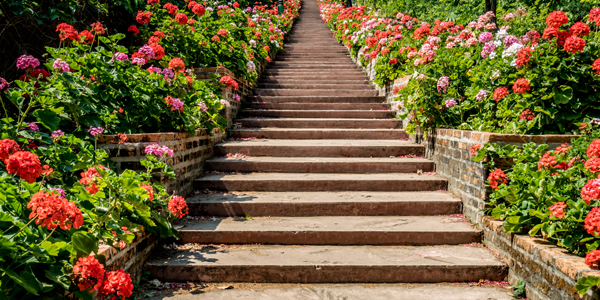 escada com flores