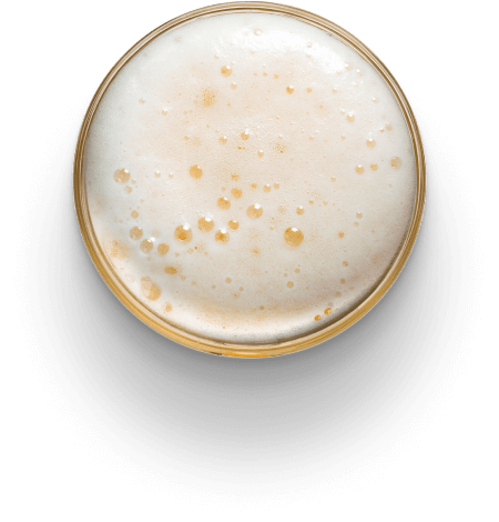 Uma história iniciada <br />
em amor pela cerveja